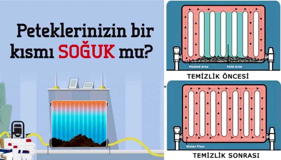 PETEK TEMİZLİĞİ